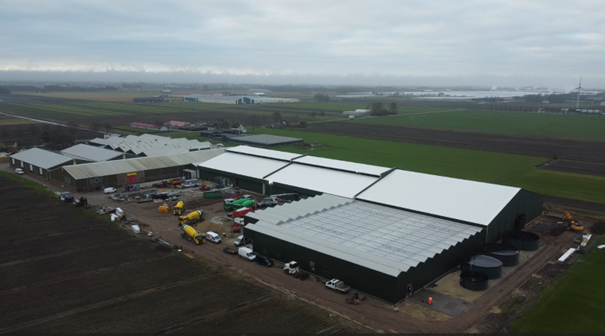 Bot Flowerbulbs, Andijk